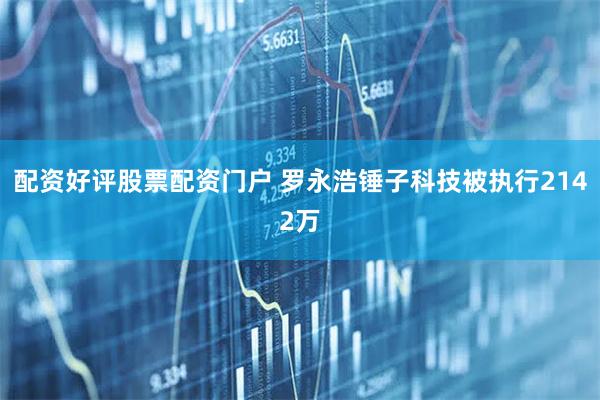 配资好评股票配资门户 罗永浩锤子科技被执行2142万