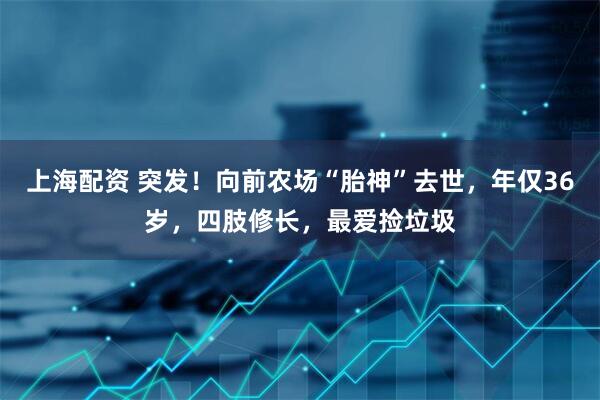 上海配资 突发！向前农场“胎神”去世，年仅36岁，四肢修长，最爱捡垃圾